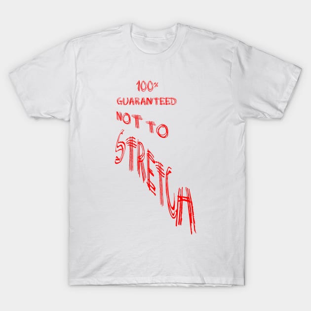 100% Guaranteed Not to Stretch T-Shirt by Heatherian